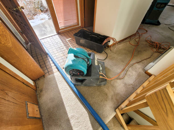 Best Water damage restoration services  in White Settlement, TX