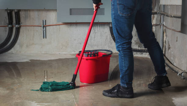 Best Carpet water damage restoration  in White Settlement, TX