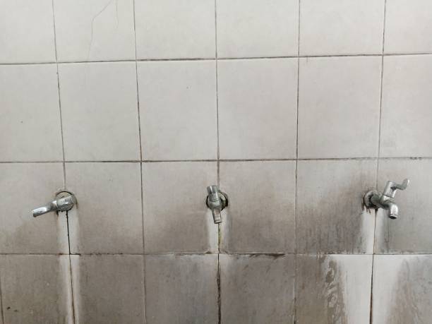 Best Local water damage restoration  in White Settlement, TX